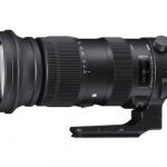 Sigma AF 60-600mm/4,5-6,3 DG OS HSM Sport für Canon