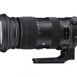 Sigma AF 60-600mm/4,5-6,3 DG OS HSM Sport für Nikon