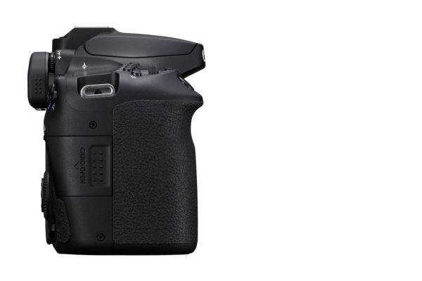 Canon EOS 90 D + EF-S 18-135mm/3,5-5,6 IS Nano USM – Bild 2