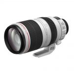 Canon EF 100-400mm/4,5-5,6 L IS II USM