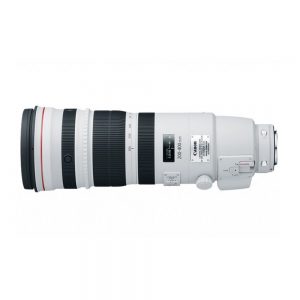 Canon EF 200-400mm/4 L, IS, USM Extender 1,4x