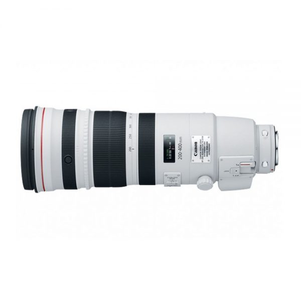 Canon EF 200-400mm/4 L, IS, USM Extender 1,4x