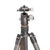 Leofoto Urban LX-284CT + XB38 – Bild 3
