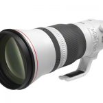 Canon RF 600mm/4 L IS USM