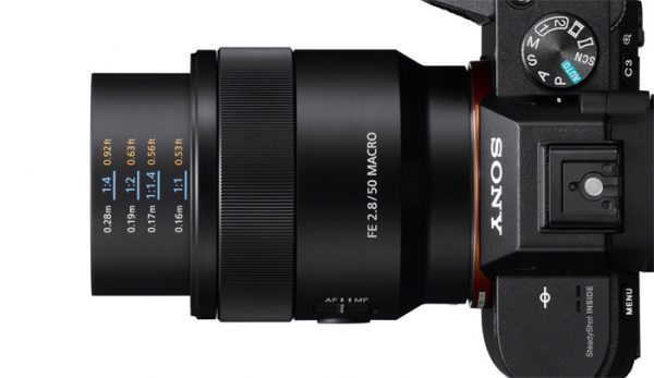 Sony FE 50mm/2,8 Macro – Bild 2