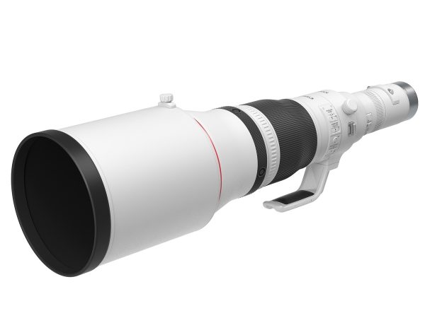Canon RF 1200mm/8 L IS USM – Bild 5