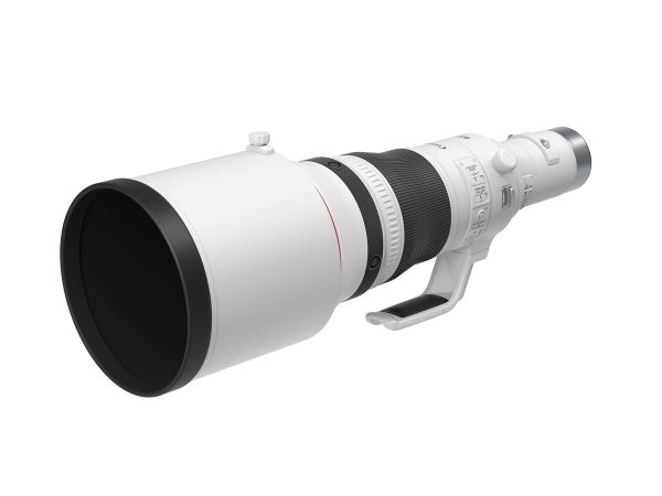 Canon RF 800mm/5,6 L IS USM – Bild 4