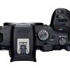 Canon EOS R7 + RF-S 18-150mm/3,5-6,3 IS STM – Bild 2