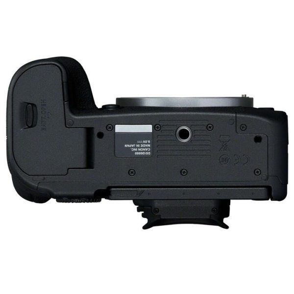 Canon EOS R6 Mark II + RF 24-105mm/4 L IS USM – Bild 5