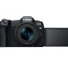 Canon EOS R8 + RF 24-50mm/4,5-6,3 IS STM – Bild 2