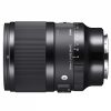 Sigma AF 50mm/1,4 DG DN Art für L-Mount – Bild 4