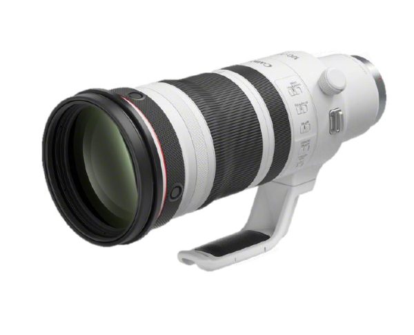 Canon RF 100-300mm/2,8 L IS USM – Bild 5