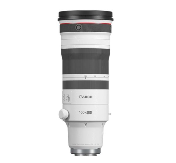 Canon RF 100-300mm/2,8 L IS USM
