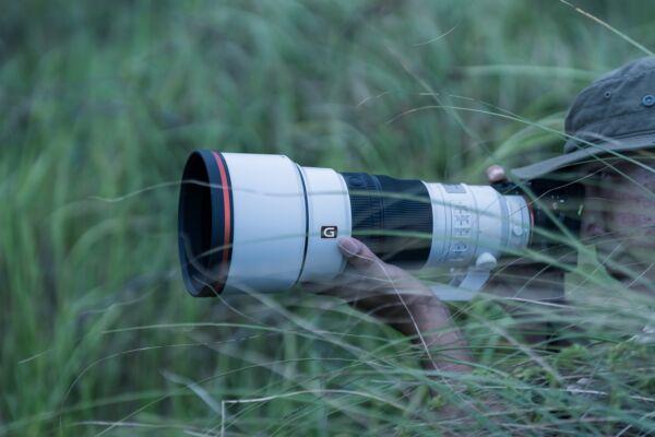 Sony FE 300mm/2,8 GM OSS – Bild 5