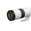 Canon RF 200-800mm/6,3-9 IS USM – Bild 2