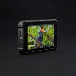 Atomos Shinobi HDMI 13,3 cm (5,2″) Monitor