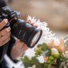 Sigma AF 24-70mm/2,8 DG DN II für Sony FE – Bild 4