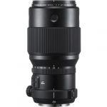 Fujifilm GF 250mm/4 R LM OIS WR