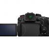 Panasonic Lumix DC-GH7 + Leica DG Vario Elmarit 12-60mm f/2,8-4 OIS – Bild 6