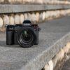 Panasonic Lumix DC-S5D + S 28-200mm/4-7,1 Macro OIS – Bild 5