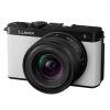 Panasonic Lumix DC-S9 smokey white + S 18-40mm/4,5-6,3 – Bild 2