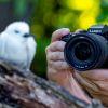 Panasonic Lumix DC-S1R II Gehäuse – Bild 6
