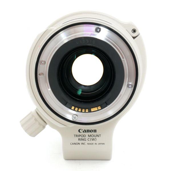 Canon EF 28-300mm/3,5-5,6 L, IS, USM, Sonnenblende, Köcher – Bild 4