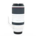 Canon RF 100-500mm/4,5-7,1 L, IS, USM, OVP, 6 Monate Garantie