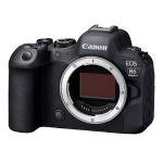 Canon EOS R6 II + RF 24-105mm/4 L IS USM + RF 50mm/1,8 STM + Voigtländer UHS-II SD 64GB V90