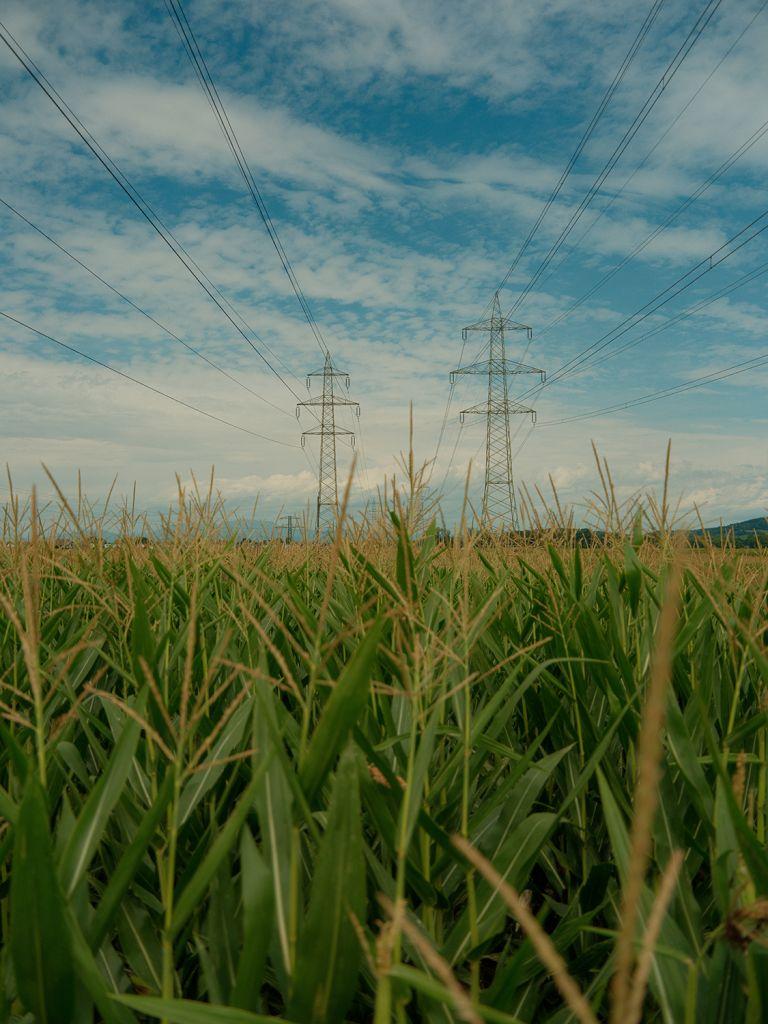 20250823-DSCF0636
