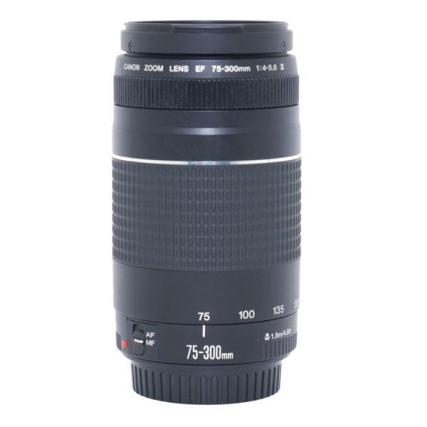 Canon EF 75-300mm/4-5,6 III