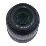 Panasonic Lumix G 45-200mm/4-5,6 Sonnenblende (leichter Staub im Linsensystem, kein Einfluss auf Bildqualität)