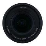 Panasonic Lumix G 1-60mm/3,5-5,6 ASPH, OIS, Sonnenblende (kleiner Kratzer auf der Frontlinse, kein Einfluss auf Bildqualität)
