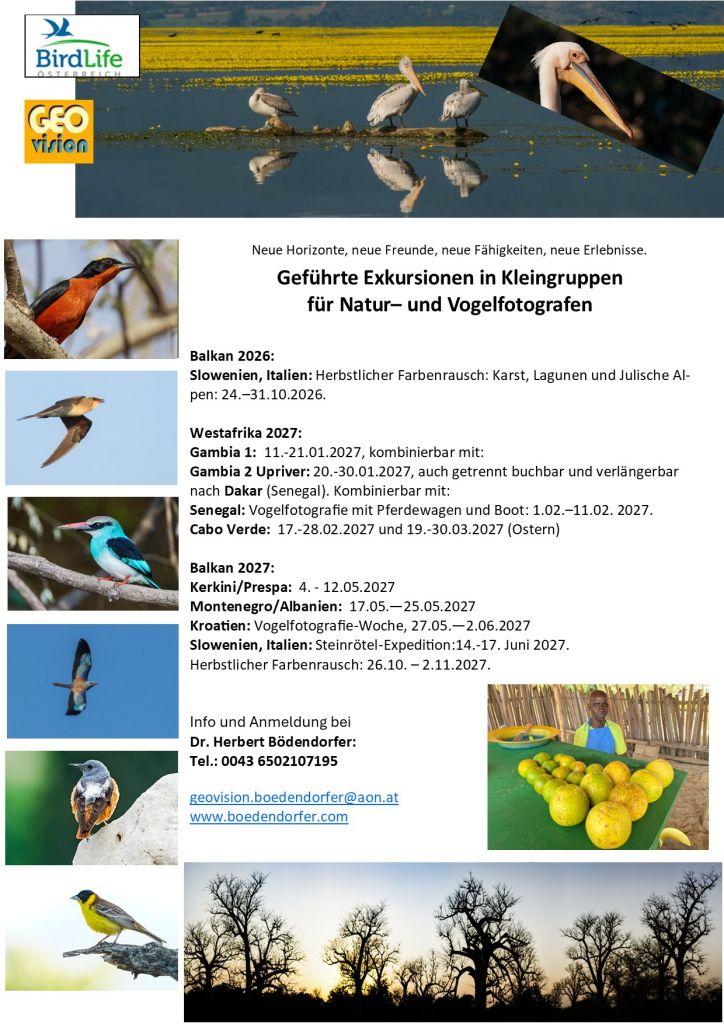 Workshops Dr Bödendorfer