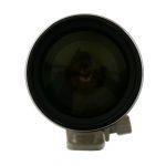 Canon EF 100-400mm/4,5-5,6 L, IS, USM, Köcher, Sonnenblende