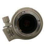 Canon EF 100-400mm/4,5-5,6 L, IS, USM, Köcher, Sonnenblende