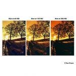 Harman RED 125/36 Kleinbildfilm Color