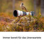 Sony FE 600mm/6,3 GM OSS